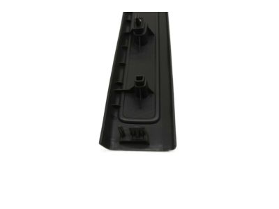 Ford DG1Z-5413208-AB Front Sill Plate