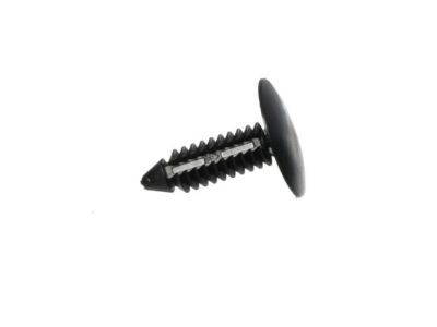 Lincoln -W708035-S300 Molding Rivet