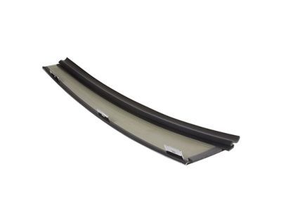 Lincoln Town Car Door Moldings - 4W1Z-54255A34-AAA