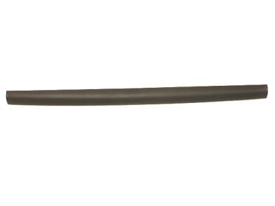 Ford 1L5Z-9940602-BAA Lower Molding