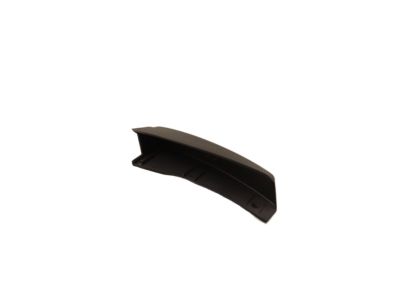 Ford YL8Z-7829038-DAB Lower Molding