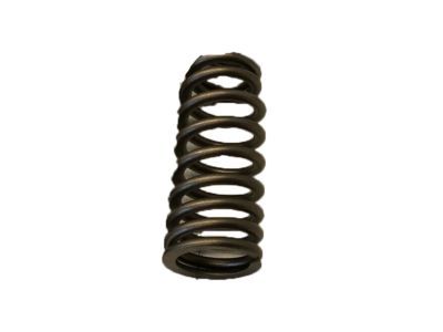 Lincoln AA5Z-6513-A Valve Springs