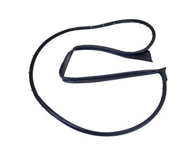 2011 Lincoln MKZ Weather Strip - BH6Z-5420708-BA