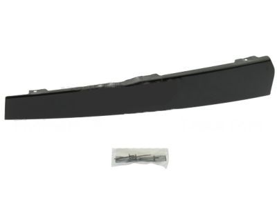 Ford 1L1Z-7820982-AA Moulding - Door Window Frame