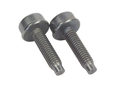 Lincoln -W715565-S900 Oil Pipe Bolt