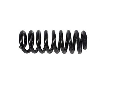 Ford F-250 Super Duty Coil Springs - F81Z-5310-EA