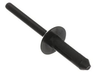 Lincoln -N804343-S Energy Absorber Rivet