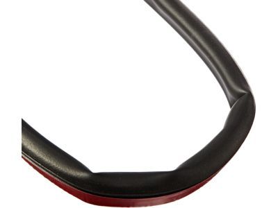 Ford F2UZ-1520518-C Weatherstrip