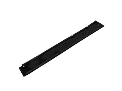 Ford FT4Z-5851969-A Center Molding