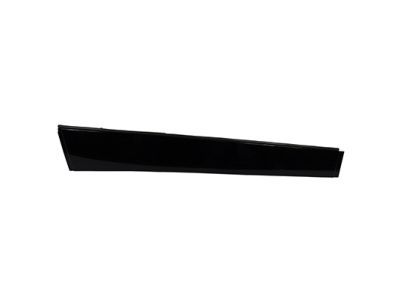 Ford FT4Z-5851969-A Center Molding