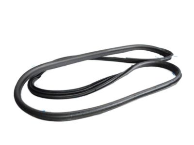 Ford CE8Z-5420708-A Weatherstrip On Body