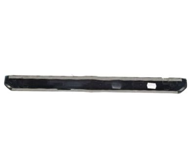 Ford CM5Z-5813209-A Insert Strip