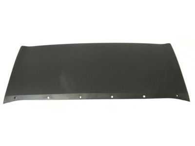 Ford CJ5Z-8419-AA Trim Molding