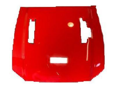 Ford DR3Z-16612-B Hood