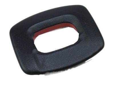 Ford CV6Z-54624A08-BA Latch Bezel