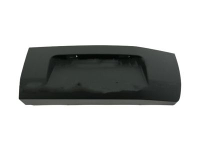 Ford CK4Z-99425B28-AA Lower Molding