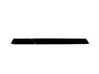 Ford 9L3Z-1613209-BA Scuff Plate