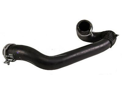 Ford CV6Z-8286-K Lower Hose