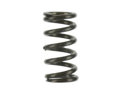 Ford 6L5Z-7379-A Plunger Spring