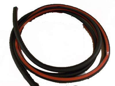 Ford Focus Door Seal - BM5Z-5820708-D