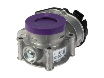 Lincoln DS7Z-9E926-D Throttle Body