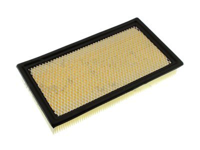 Ford 7T4Z-9601-A Air Filter