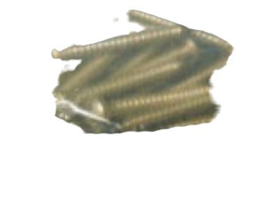 Mercury -56000-S Screw                              