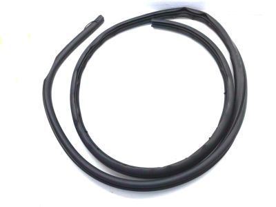 Mercury 1L2Z-78253A10-AA Weatherstrip - Door Opening