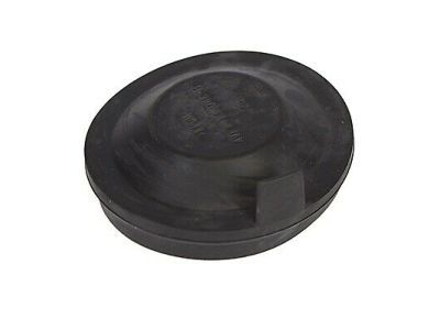 Ford CV6Z-13K046-A Rear Cap