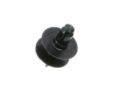 Lincoln -W706519-S300 Sight Shield Clip