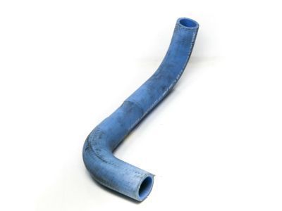 Ford 3W7Z-8286-EA Lower Hose