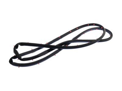 Ford SSV Plug-In Hybrid Weather Strip - DS7Z-5420531-C