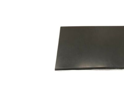 Lincoln 5L3Z-99425A34-AAC Panel - Tailgate - Outer