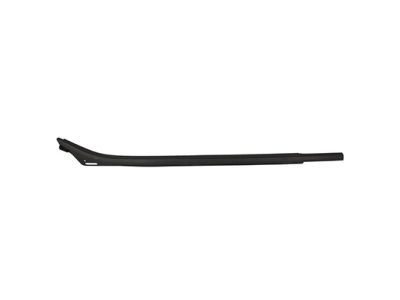 Ford FL3Z-1625596-C Weatherstrip - Door Glass Channel