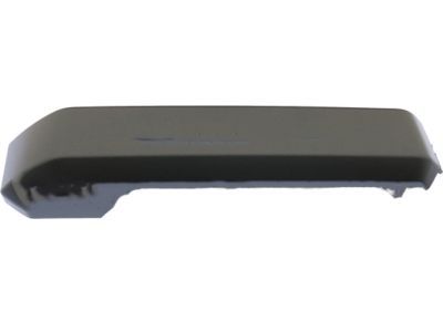 Ford HC3Z-1822643-CA Armrest Cover