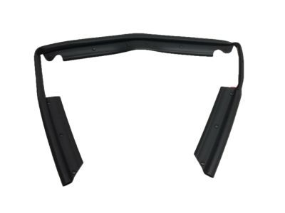 Ford SSV Plug-In Hybrid Weather Strip - DS7Z-16B990-F