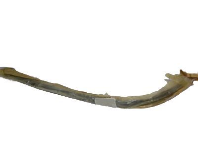 Ford BE8Z-5450462-A Roof Molding