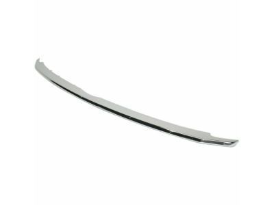 Ford BB5Z-8200-BA Lower Molding