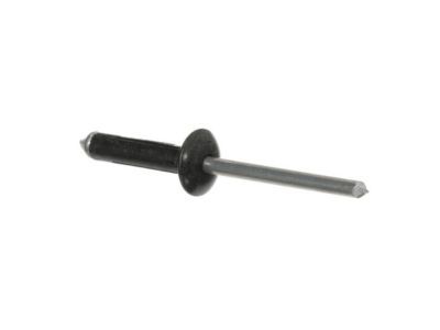 Lincoln -W706737-S300 Side Retainer Rivet