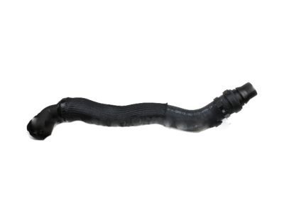 Ford 8C3Z-8286-B Lower Hose