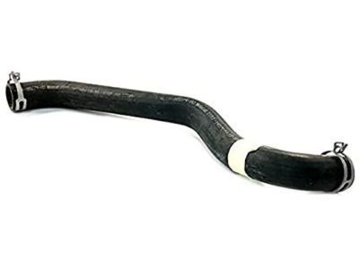 2005 Lincoln Navigator Radiator Hose - 4L1Z-8260-AA