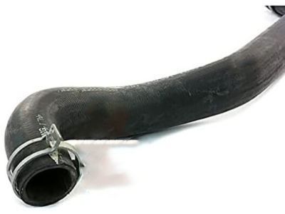 Lincoln 4L1Z-8260-AA Upper Hose