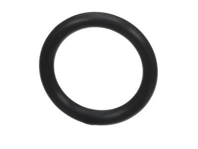 Lincoln AA5Z-00815-B Lower Pipe O-Ring