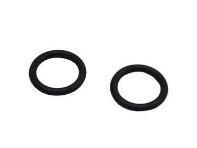 Lincoln AA5Z-00815-B Lower Pipe O-Ring