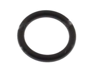 Lincoln AA5Z-00815-B Lower Pipe O-Ring