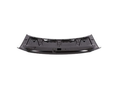 Ford Hood - 8C2Z-16612-A