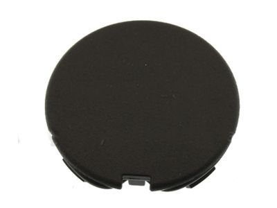 Ford EV6Z-3E745-AA Blank Cover