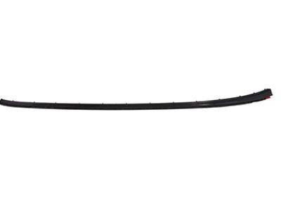 Ford BM5Z-5803178-A Pillar Molding Retainer Strip