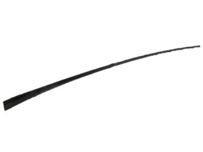 Ford BM5Z-5803178-A Windshield Molding Retainer Strip