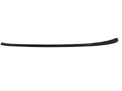 Ford BM5Z-5803178-A Windshield Molding Retainer Strip